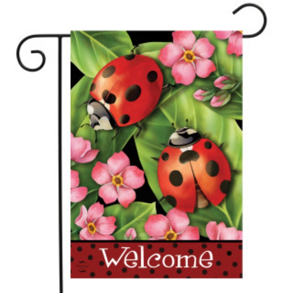 BRIARWOOD LANE  "Welcome" (Ladybugs)